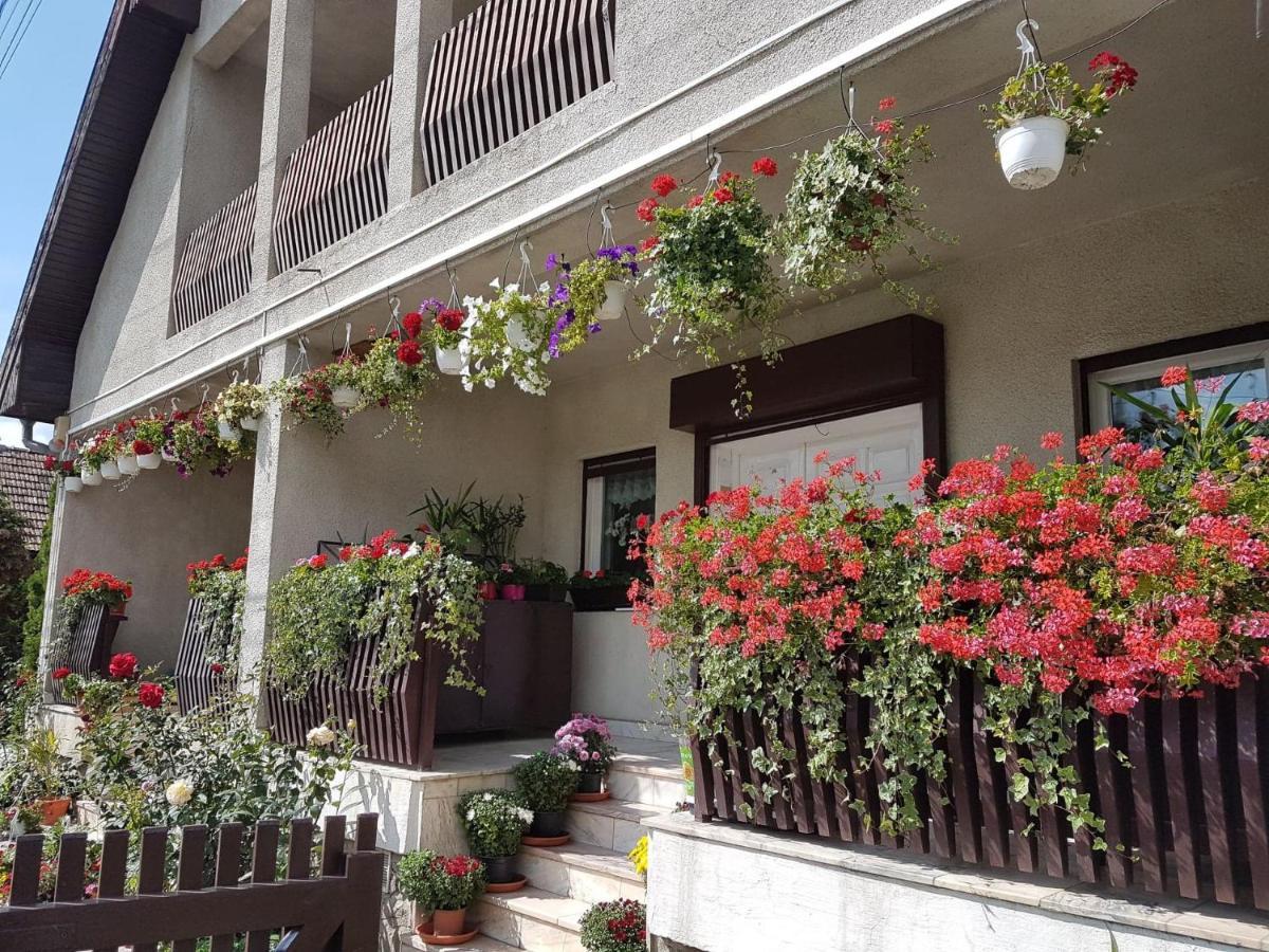 Antal Apartmans Lunca De Sus Kulcsoshaz Gyimesfelsolok Ngoại thất bức ảnh