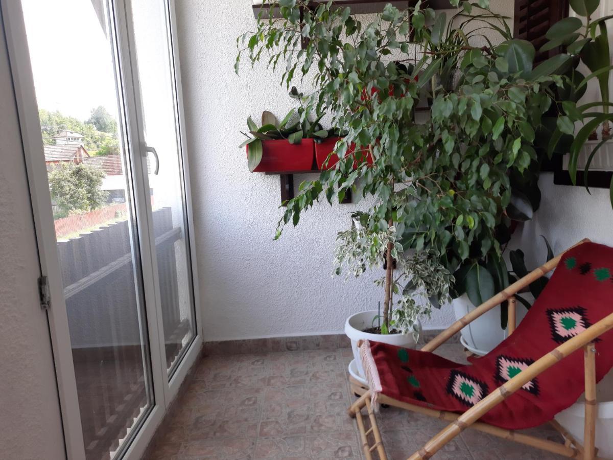Antal Apartmans Lunca De Sus Kulcsoshaz Gyimesfelsolok Ngoại thất bức ảnh